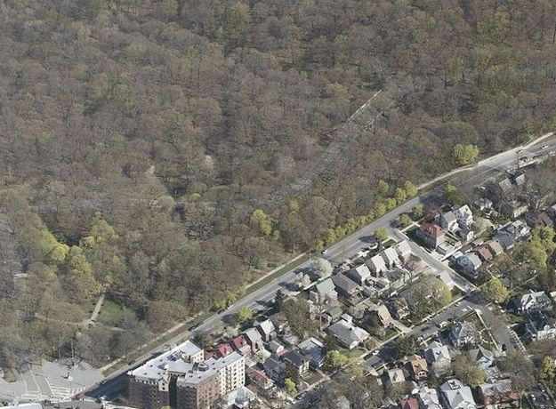 queens: forest park